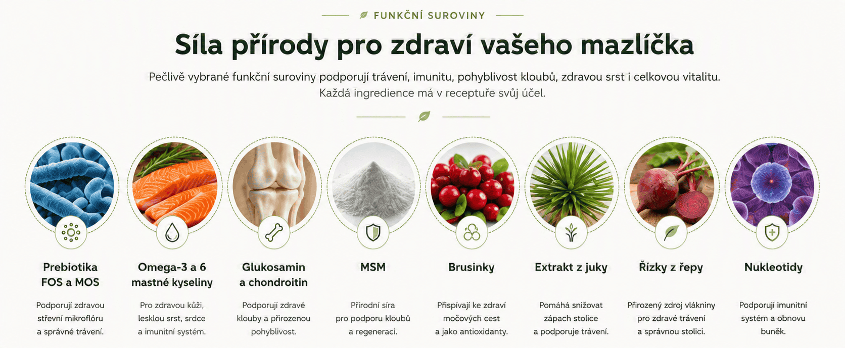 Arden Grange funkční složky (1)